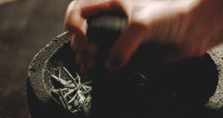 https://upforme.ru/uploads/0011/b8/a1/2/219875.gif
