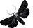 https://upforme.ru/uploads/0011/b8/a1/2/731440.png