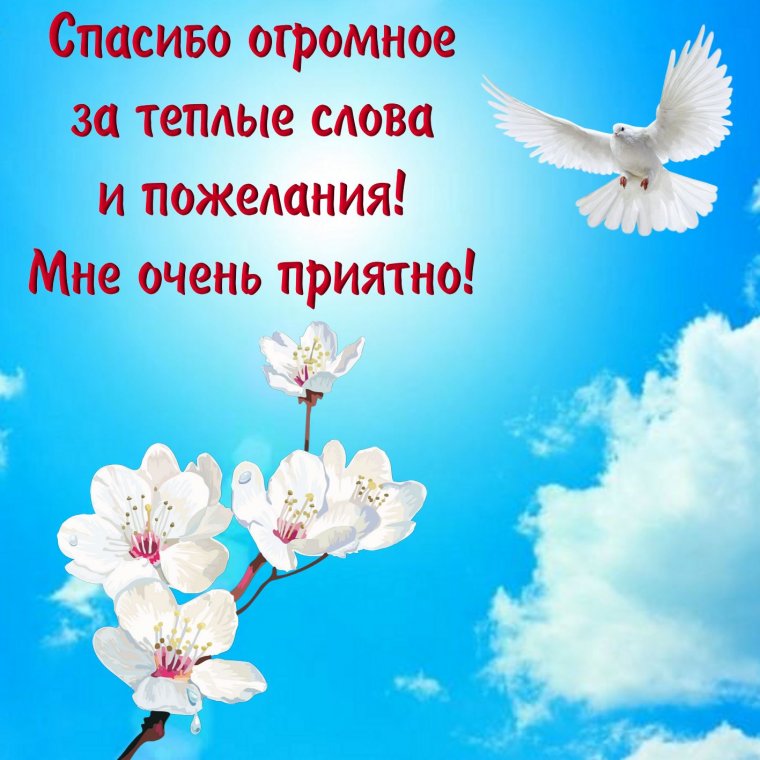 https://upforme.ru/uploads/0011/ce/80/2/351863.jpg