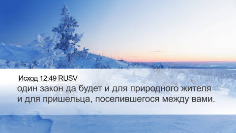 https://upforme.ru/uploads/0011/ce/80/2/t466090.jpg