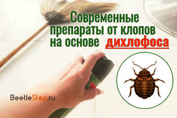 https://upforme.ru/uploads/0011/ce/80/29/t802027.jpg