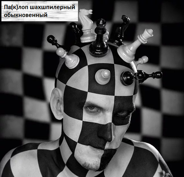 https://upforme.ru/uploads/0011/ce/80/29/t831407.png