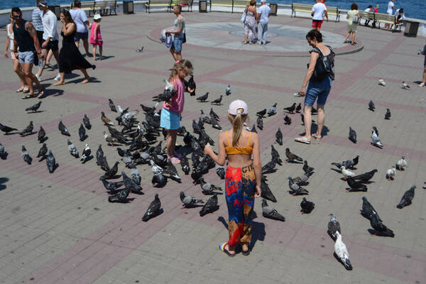 https://upforme.ru/uploads/0011/f5/51/43/t520510.jpg