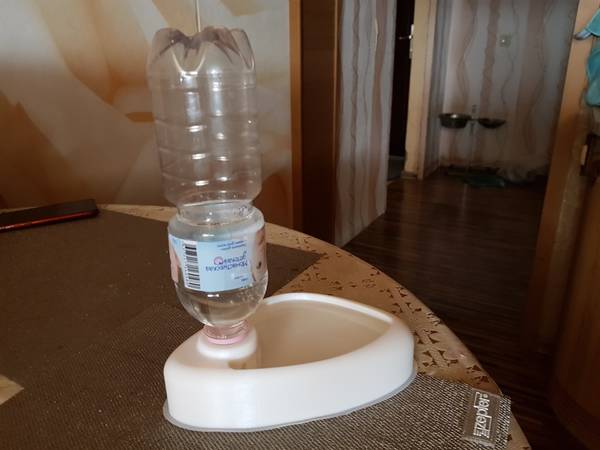 https://upforme.ru/uploads/0011/f5/51/519/t286293.jpg