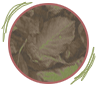 https://upforme.ru/uploads/0012/01/a8/2/70526.png