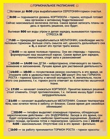 https://upforme.ru/uploads/0012/15/01/642/t112901.jpg