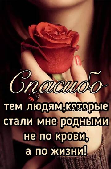 https://upforme.ru/uploads/0012/15/01/642/t152953.jpg