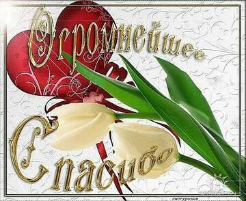 https://upforme.ru/uploads/0012/15/01/642/t188796.jpg