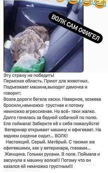 https://upforme.ru/uploads/0012/15/01/642/t254020.jpg