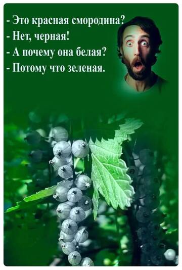 https://upforme.ru/uploads/0012/15/01/642/t268854.jpg