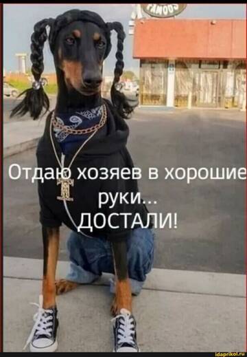 https://upforme.ru/uploads/0012/15/01/642/t403619.jpg