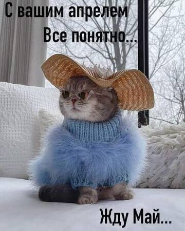 https://upforme.ru/uploads/0012/15/01/642/t415687.jpg