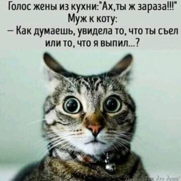 https://upforme.ru/uploads/0012/15/01/642/t457035.jpg