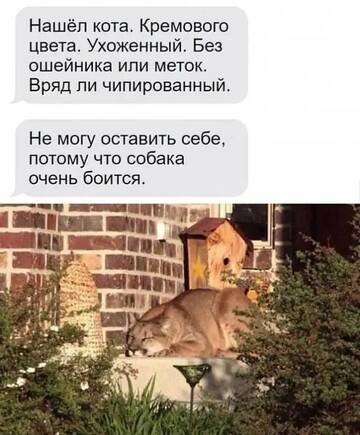 https://upforme.ru/uploads/0012/15/01/642/t533874.jpg