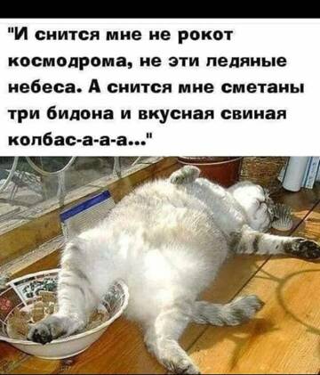 https://upforme.ru/uploads/0012/15/01/642/t590808.jpg