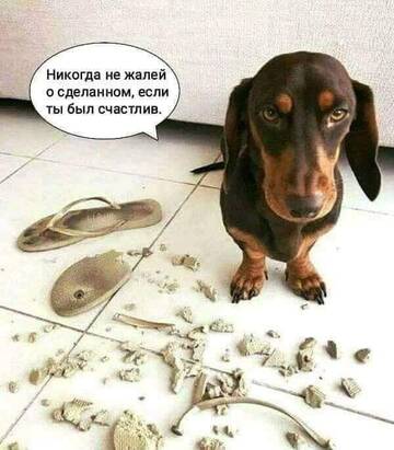 https://upforme.ru/uploads/0012/15/01/642/t622815.jpg