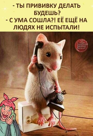 https://upforme.ru/uploads/0012/15/01/642/t821825.jpg