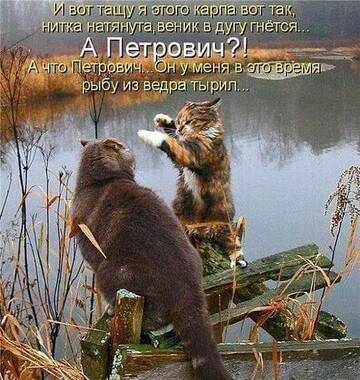 https://upforme.ru/uploads/0012/15/01/642/t862596.jpg