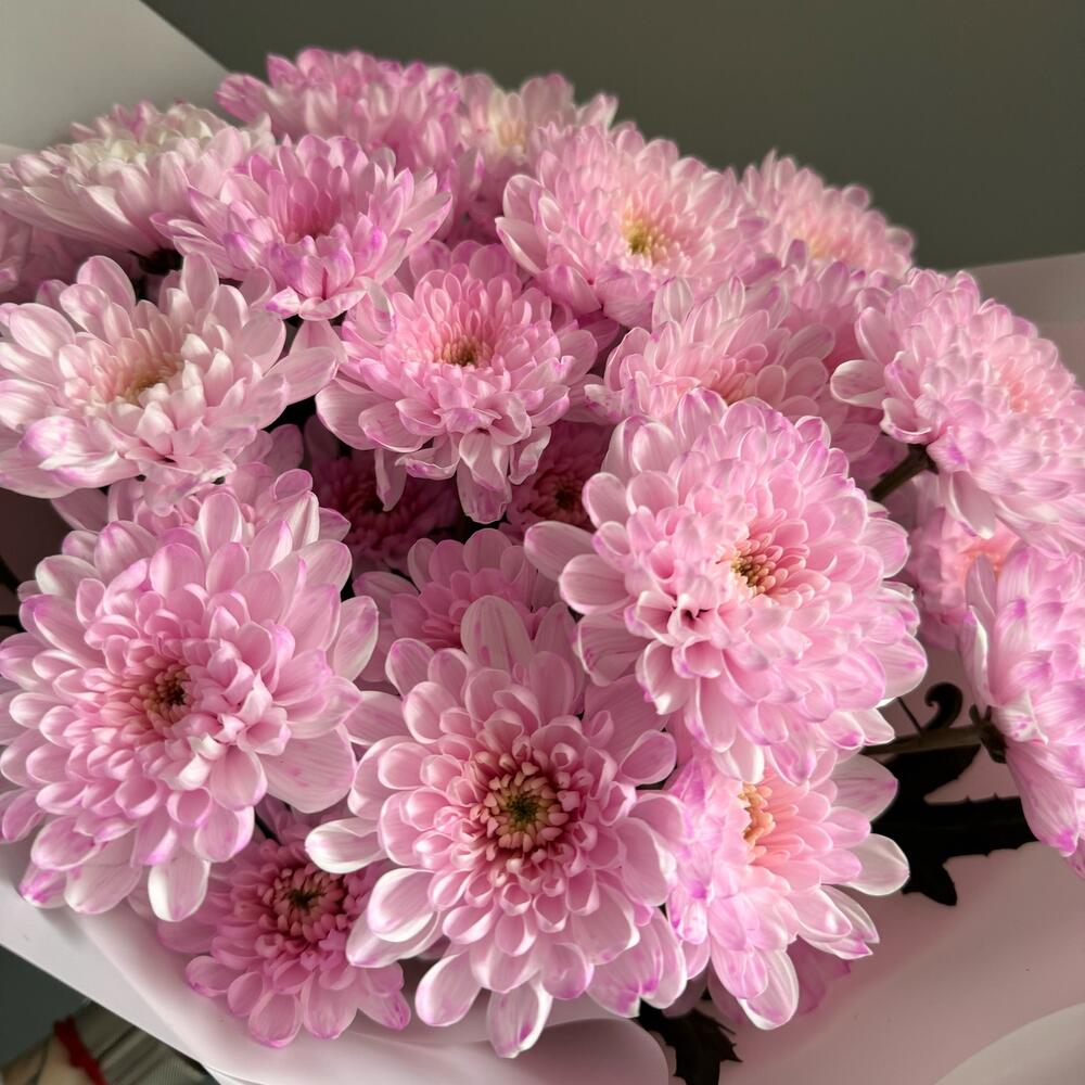 https://upforme.ru/uploads/0012/15/01/648/616850.jpg