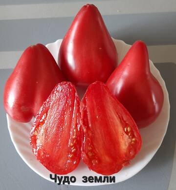 https://upforme.ru/uploads/0012/15/01/650/t165171.jpg