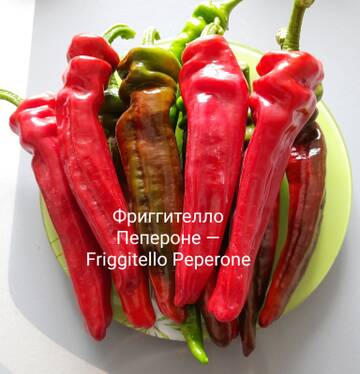 https://upforme.ru/uploads/0012/15/01/650/t291644.jpg
