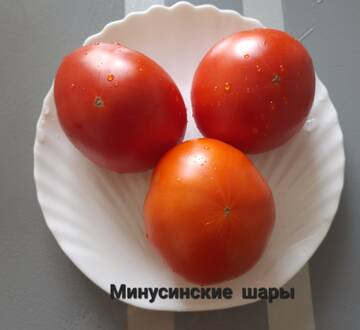 https://upforme.ru/uploads/0012/15/01/650/t437642.jpg
