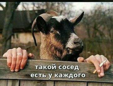 https://upforme.ru/uploads/0012/15/01/650/t609633.jpg