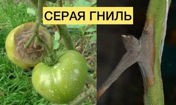 https://upforme.ru/uploads/0012/15/01/650/t632015.jpg