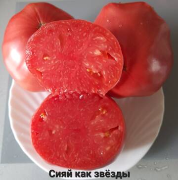 https://upforme.ru/uploads/0012/15/01/650/t677524.jpg