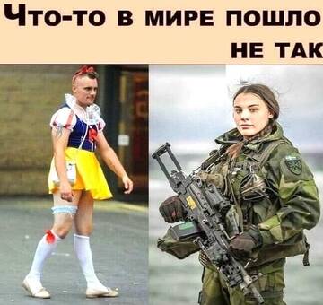 https://upforme.ru/uploads/0012/15/01/650/t88214.jpg