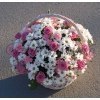 https://upforme.ru/uploads/0012/15/01/653/t412434.jpg