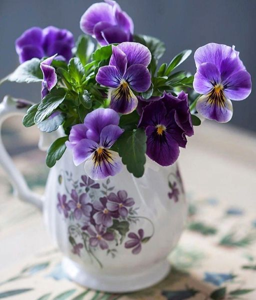https://upforme.ru/uploads/0012/15/01/657/t823578.jpg