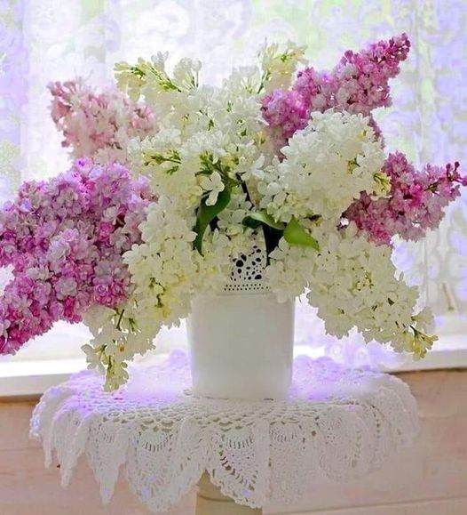 https://upforme.ru/uploads/0012/15/01/657/t984630.jpg
