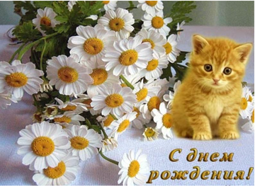 https://upforme.ru/uploads/0012/15/01/659/t138270.png