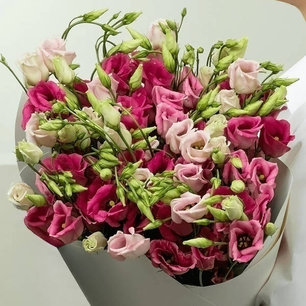 https://upforme.ru/uploads/0012/15/01/660/t36153.jpg