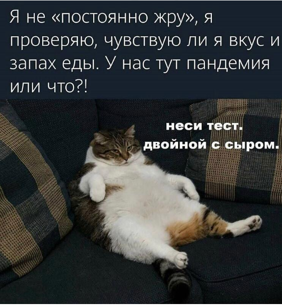 https://upforme.ru/uploads/0012/15/01/663/576168.png
