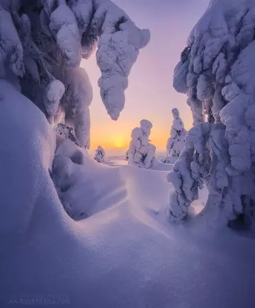https://upforme.ru/uploads/0012/15/01/666/t387987.webp