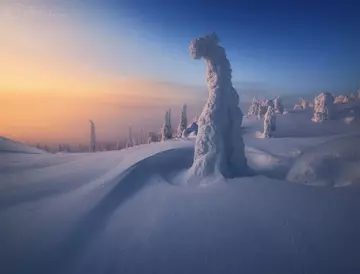 https://upforme.ru/uploads/0012/15/01/666/t428008.webp