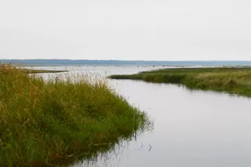 https://upforme.ru/uploads/0012/15/01/666/t491130.webp