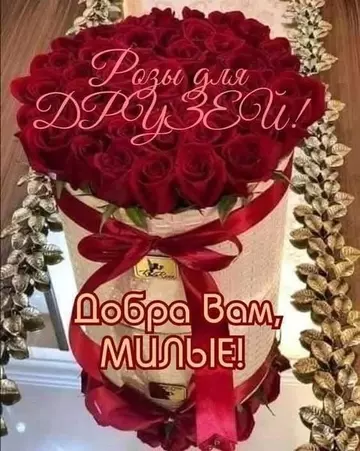 https://upforme.ru/uploads/0012/15/01/666/t584674.webp