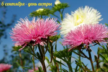 https://upforme.ru/uploads/0012/15/01/666/t593212.webp