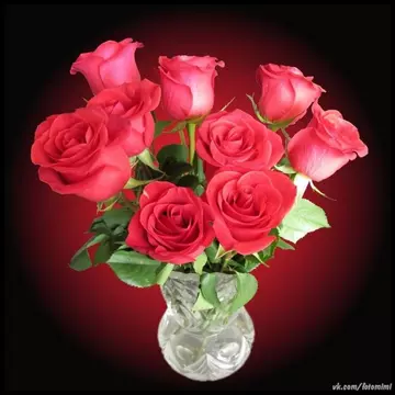 https://upforme.ru/uploads/0012/15/01/666/t642332.webp
