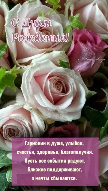 https://upforme.ru/uploads/0012/15/01/666/t66100.webp