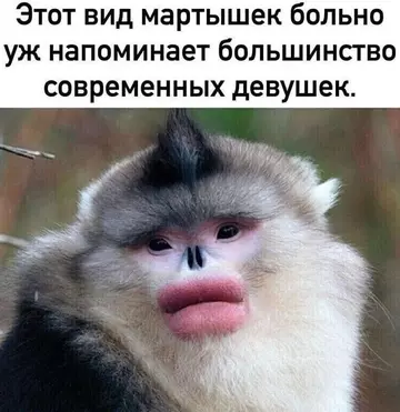 https://upforme.ru/uploads/0012/15/01/666/t713331.webp