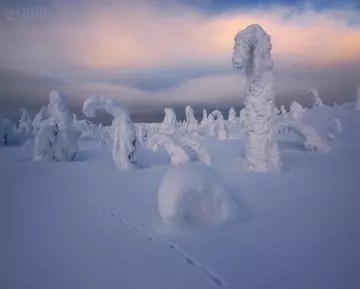 https://upforme.ru/uploads/0012/15/01/666/t779429.webp