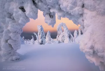 https://upforme.ru/uploads/0012/15/01/666/t833731.webp