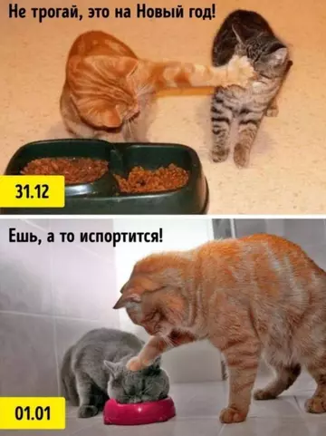 https://upforme.ru/uploads/0012/15/01/666/t859348.webp