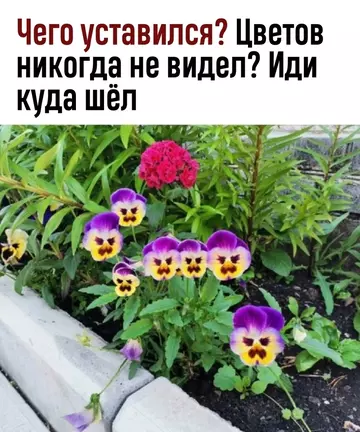 https://upforme.ru/uploads/0012/15/01/666/t865690.webp