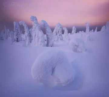 https://upforme.ru/uploads/0012/15/01/666/t948265.webp