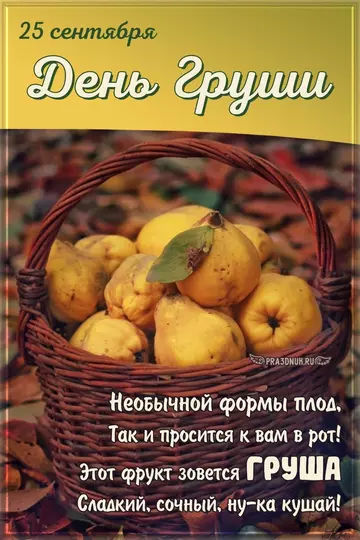 https://upforme.ru/uploads/0012/15/01/666/t967290.webp